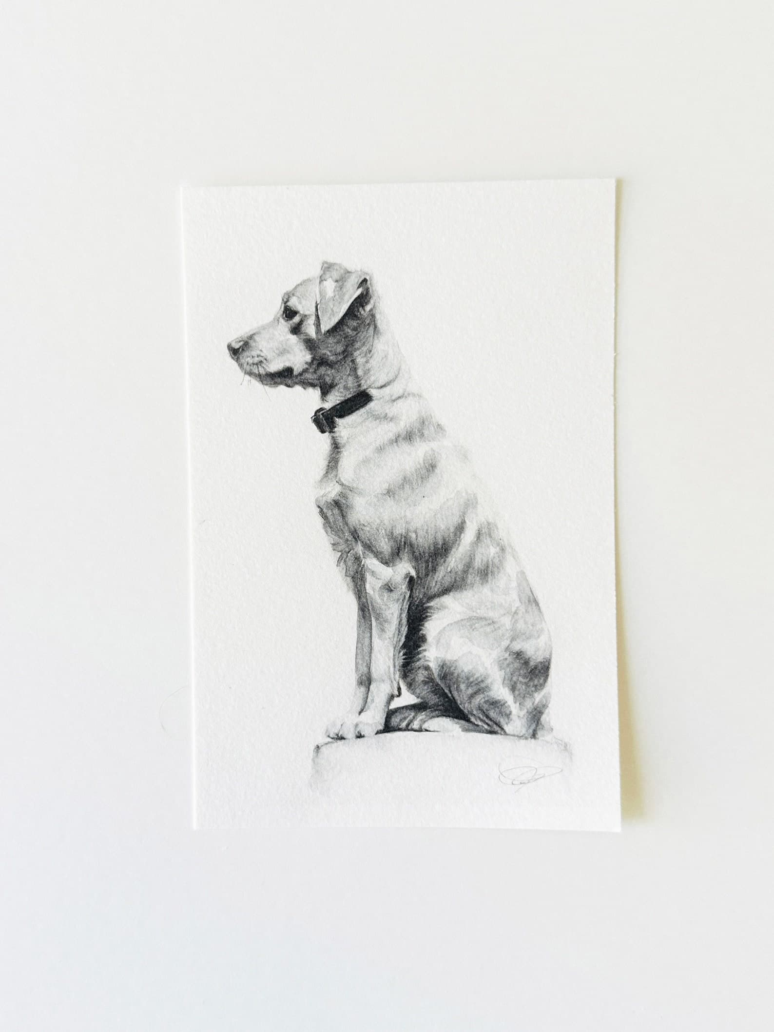 Hand-Drawn Pet Portrait — Watercolor Pencil
