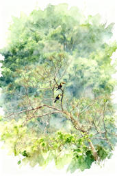 2026 3 16 RUSH 46 NW 3999045501 Jennifer Newman