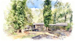 2026 4 8 57 4011423226 Carol Tucker