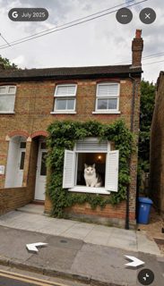 2026 4 20 912 4020886320 Sarah Higgins