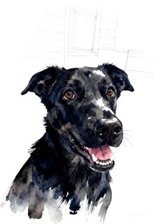 2026 4 11 57 4011204791 Meaghan Nowell