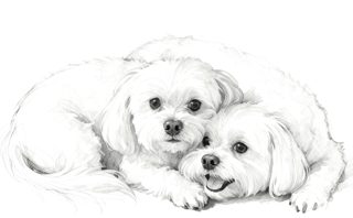 2026 4 10 57 BF 4013114816 Julie Wunderlich