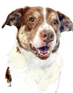 2026 4 13 810 4015860584 Ellen Mangelsdorf