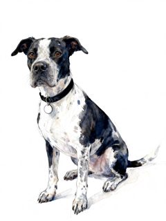 2026 4 17 810 4021392181 Allison Donahue