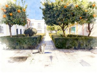 2026 4 25 88 4025862428 Kate Lanman