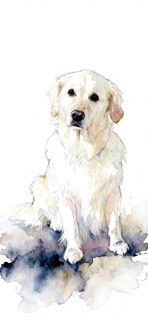 2026 4 27 57 4026874334 Shelli Oliver