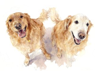 2026 4 27 810 NW 4027064738 Michael Mertz