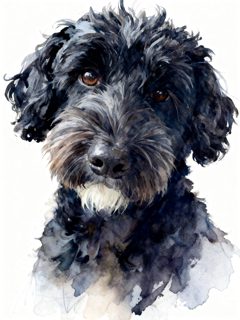 2026 4 27 810 4027168140 Sarah Martin