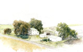 2026 4 27 57 NW 4027497628 Maggie Faust