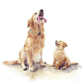 2026 4 24 OAK 810 4028094895 Rebecka Custred