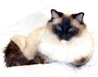 2026 4 24 57 BF 4028807993 Kimberly Miles