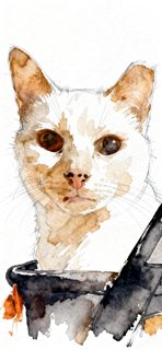 2026 4 25 OAK 57 NW 4029416599 Kelly Kent