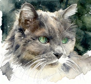 2026 5 1 OAK 46 4031197360 Susan Kauck