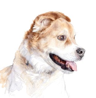 2026 4 27 810 4031387057 Doc Ellis