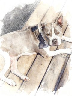 2026 5 4 46 WF 4032945538 Portia Millington