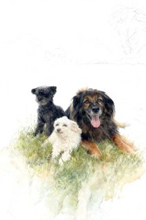 2026 4 29 810 4032985801 Julianne Gunst