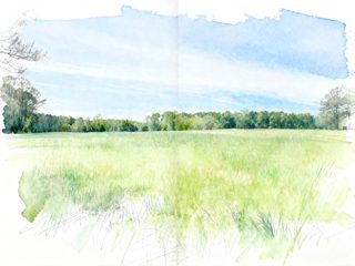 2026 4 29 57 4033768861 Meg