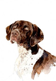 2026 4 30 OAK 46 4034587533 Kathy Bruce