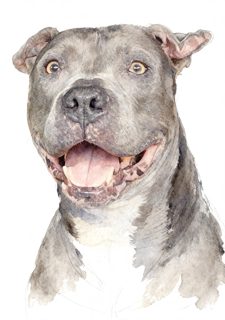 2026 5 1 57 WF 4034994611 Matt Vanderweit