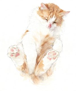 2026 5 1 1319 4035865843 Kimberly Nguyen