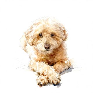 2026 4 22 810 GC 1624696080 Karin Plastina