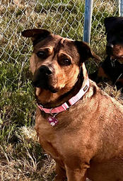 2026 3 9 810 BF Nicole Garrels