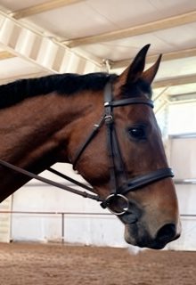 2026 4 2 1319 3988717393 Mallory Potock