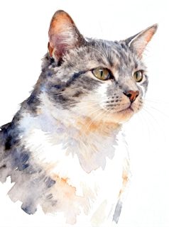 2026 3 24 OAK 46 4004268406 Emily Mandelstam