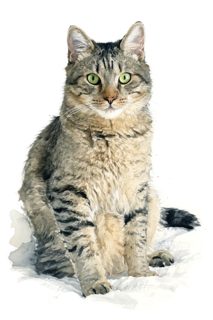 2026 4 2 OAK 46 NW 4007888529 Helen Sioma