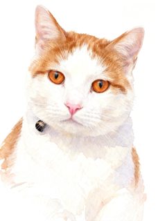 2026 4 15 OAK 57 4017496772 Cathy Grinstead