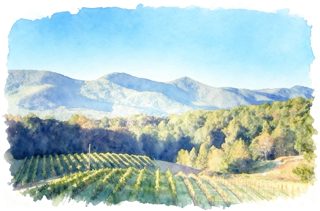 2026 4 20 57 4023754263 Arden Buchanan