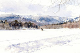 2026 3 12 8511 3985730210 Elen Mussie