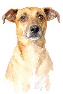 2026 4 11 OAK 46 4016614509 Deborah Obrizzo