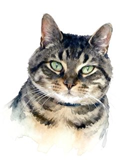 2026 4 20 OAK 810 NW 4021420976 Carolyn Zook