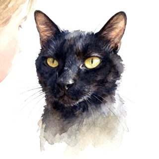 2026 4 20 OAK 810 NW 4021420976 Carolyn Zook